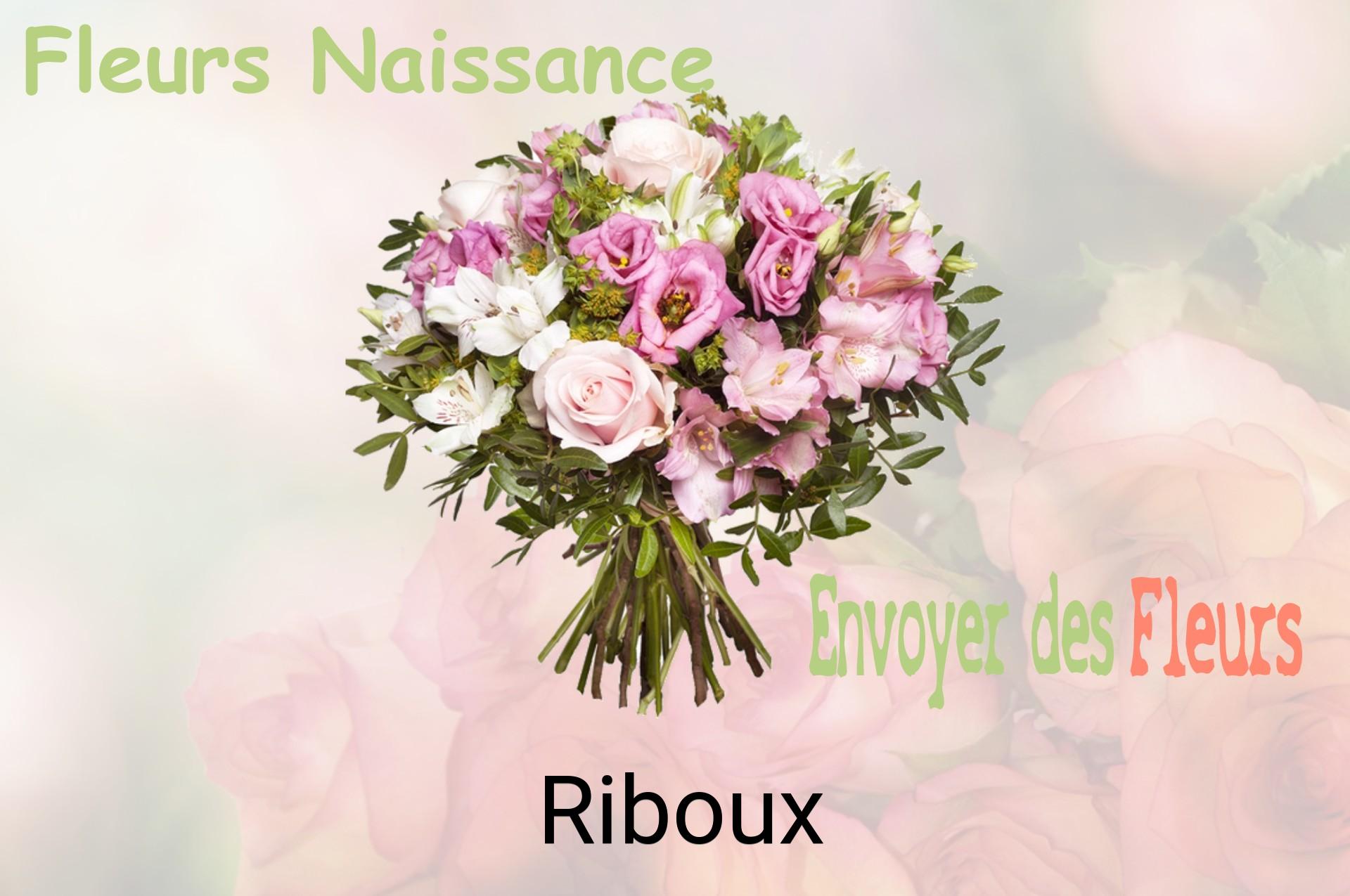 Bouquet de fleurs de naissance livré à Riboux