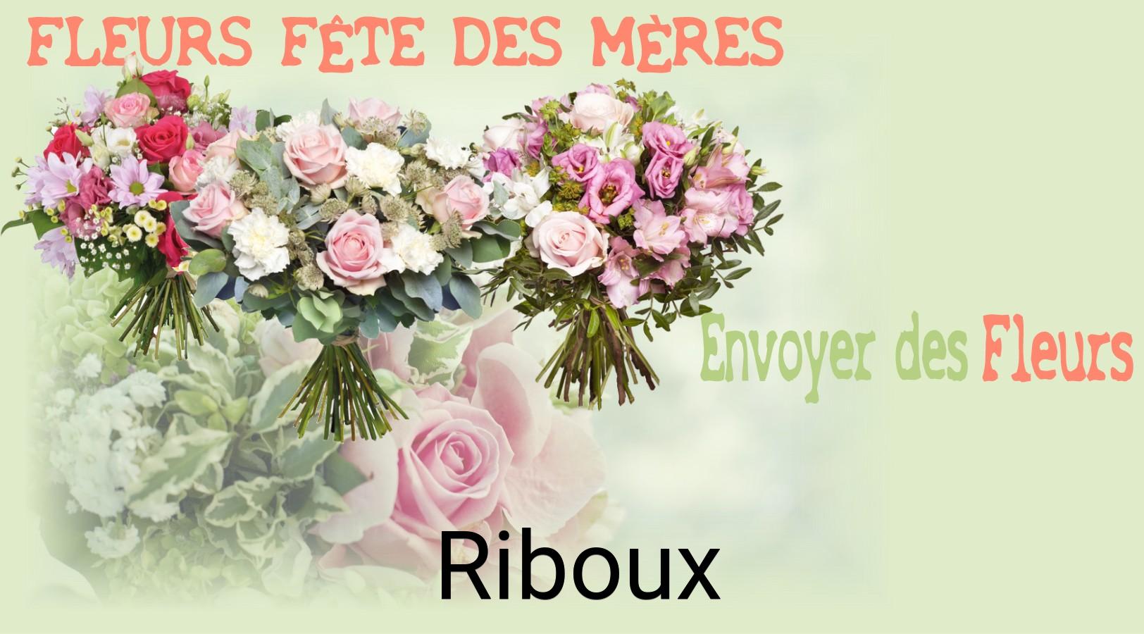 Bouquet de Fête des Mères livré à Riboux